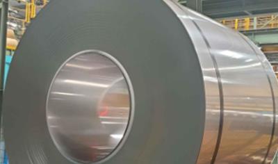 Cover image for ﻿STS300