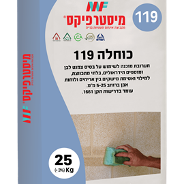 Cover image for 119 adhesive