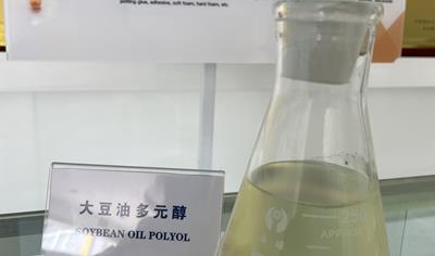 Cover image for Plant Oil Polyols (HM-10100, HM-10200, HM-1070, HM-13150, and HM-13160)