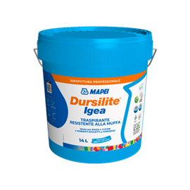 Cover image for Dursilite Igea