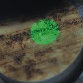 Cover image for Horn Buttons