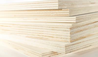 Cover image for Invernizzi Poplar Plywood