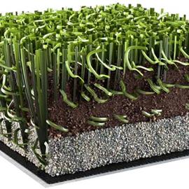 Cover image for Synthetic turf - ALL STAR ECOGREEN GC / 62 DOUBLE X PLUS ECOGREEN GC 