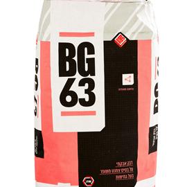 Cover image for BG 63 and FLEXSEAL 160