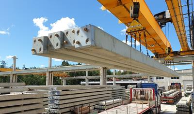 Cover image for 270 Concrete middle Pile Type 8