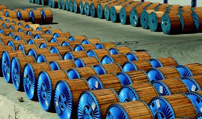 Cover image for ACSR Sveid Conductor