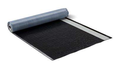 Cover image for Soprastick