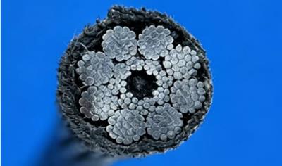 Cover image for Steel Wire Rope