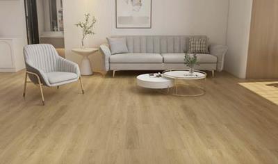 Cover image for Vinyl flooring - WPC flooring