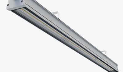 Cover image for Galis