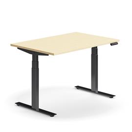 Cover image for Standing desk QBUS, 1200x800 mm