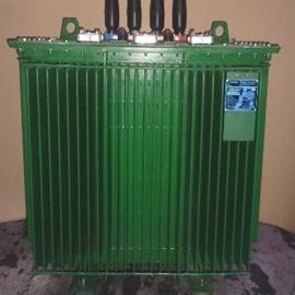 Cover image for Aluminum wound, Mineral oil filled Transformer – 8574E