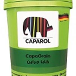 Cover image for CapaGrain