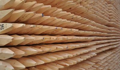 Cover image for Wood Products From Pine - Natural