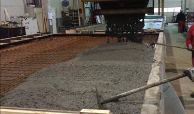 Cover image for Dynamon NRG-600