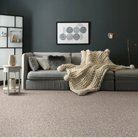 Cover image for Dreamweaver Broadloom Carpet
