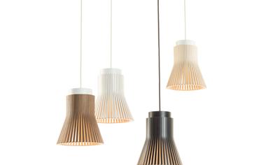 Cover image for Petite 4600 Multiple products