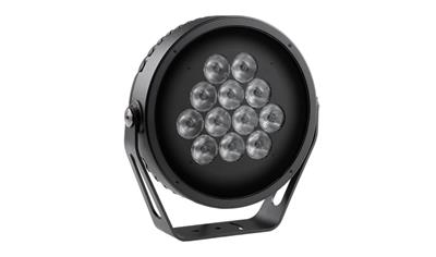 Cover image for Anolis Calumma™ L MC