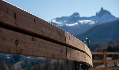 Cover image for CRTH1BL2 "CORTINA" (ORION series)