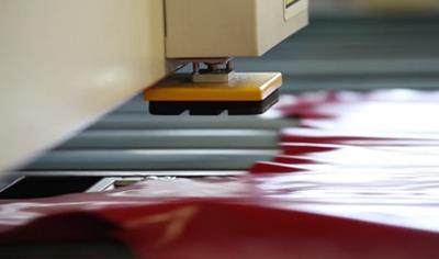 Cover image for Aniline / Finished Leather