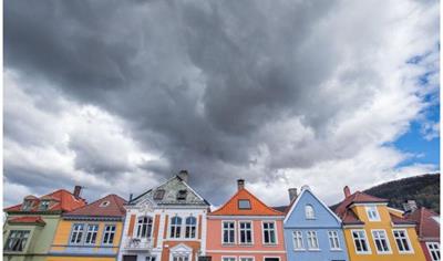 Cover image for Poplar plywood DURAPLY