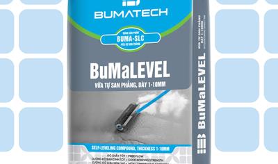 Cover image for BuMaLEVEL