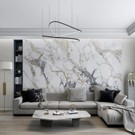Cover image for Silica Mineral Panel
