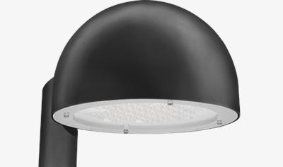 Cover image for Blackbird 