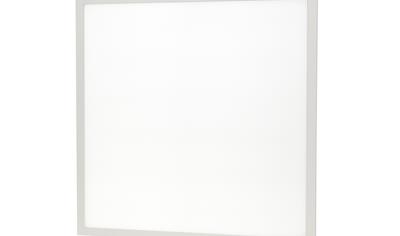 Cover image for Bora II