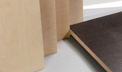 Cover image for Coated birch plywood