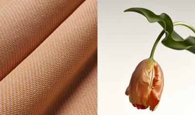 Cover image for Trevira CS - AKEMI CORE OMBRÉ/OMBRÉ300