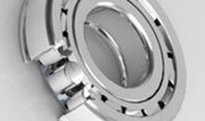 Cover image for Cylindrical Roller Bearing: NUP310N