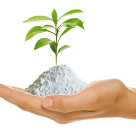 Cover image for Tecdrit (micronized)