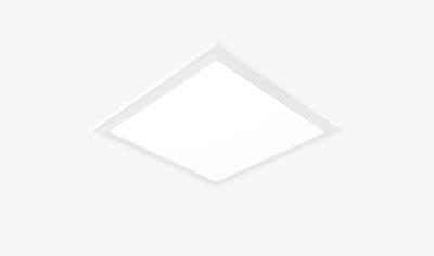 Cover image for Bloom