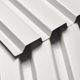 Cover image for Ternium TRD 91.5 Roof Deck