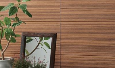 Cover image for Nichiha EX-series Kinuura Plant