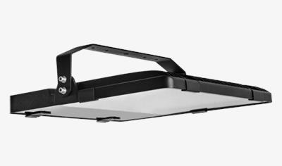 Cover image for Mustang