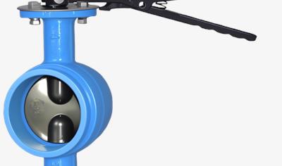 Cover image for Grooved Butterfly Valve DN100