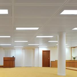 Cover image for SAS System 330 Metal Ceiling (Aluminium)