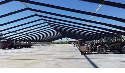 Cover image for Painted Structural Steel