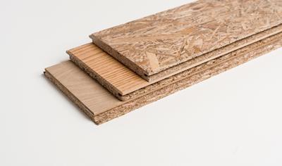 Cover image for Palm Strand Board (PSB)