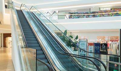 Cover image for Velino 100 │200