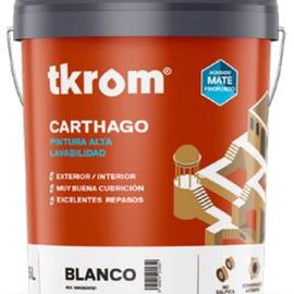 Cover image for TKROM CARTHAGO