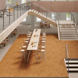 Cover image for DESSO Desert EcoBase