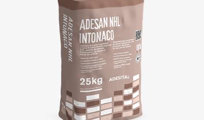 Cover image for Adesan NHL Intonaco