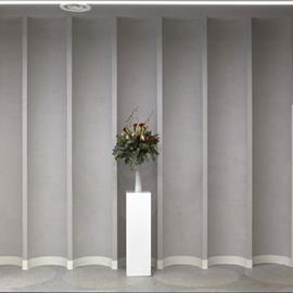 Cover image for Istria P350