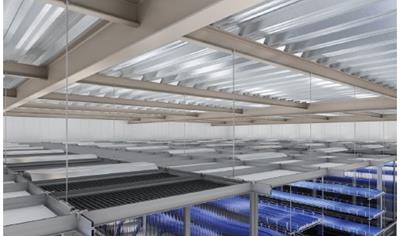 Cover image for Tate Duo