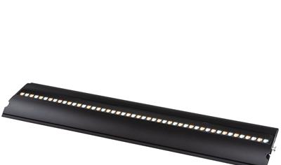 Cover image for ROBIN FOOTSIE2™