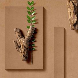 Cover image for Fibrapan Bio  FINANCIERA MADERERA S.A. FINSA