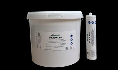 Cover image for Polylack KG